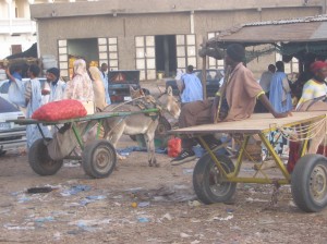 Article : Les charrettes de  Nouakchott : Un spectacle archaïque, une utilité certaine