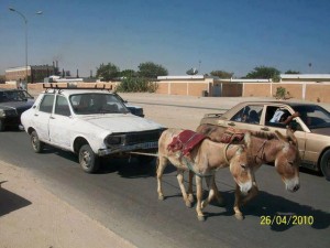 Article : Dans les rues de Nouakchott