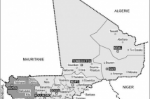 Article : Nord Mali : Ce sera une guerre « totale »