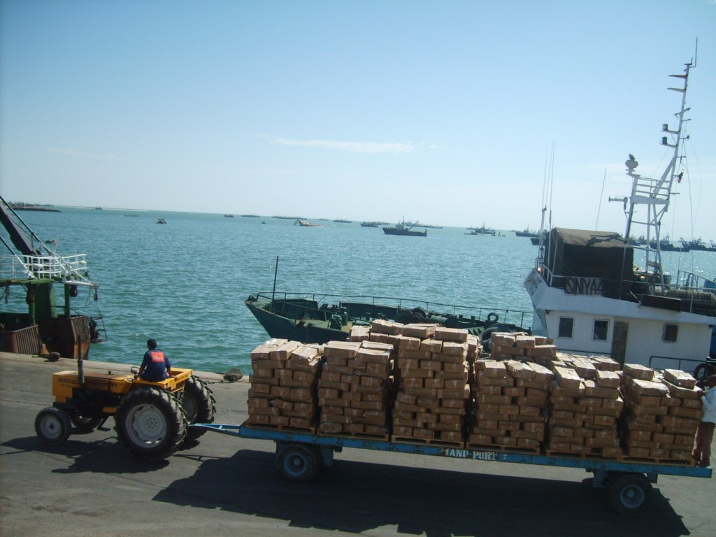 Article : Convention de pêche entre la Mauritanie et la société chinoise Poly-Hondong : Prémices d’un nouveau scandale