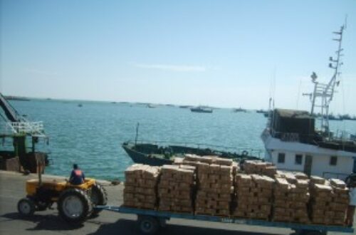 Article : Convention de pêche entre la Mauritanie et la société chinoise Poly-Hondong : Prémices d’un nouveau scandale